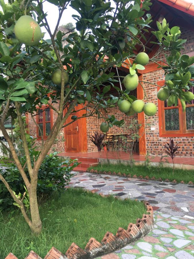 Tam Coc Thanh Dat Homestay Нин Бин Екстериор снимка