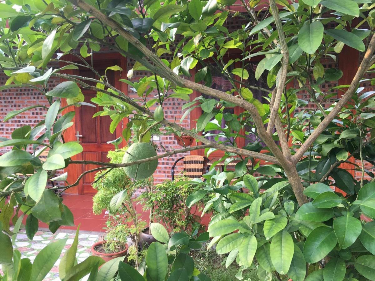 Tam Coc Thanh Dat Homestay Нин Бин Екстериор снимка