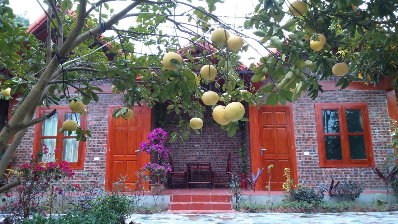 Tam Coc Thanh Dat Homestay Нин Бин Екстериор снимка
