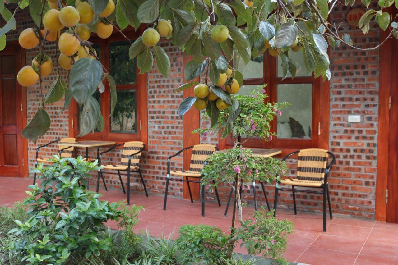 Tam Coc Thanh Dat Homestay Нин Бин Екстериор снимка