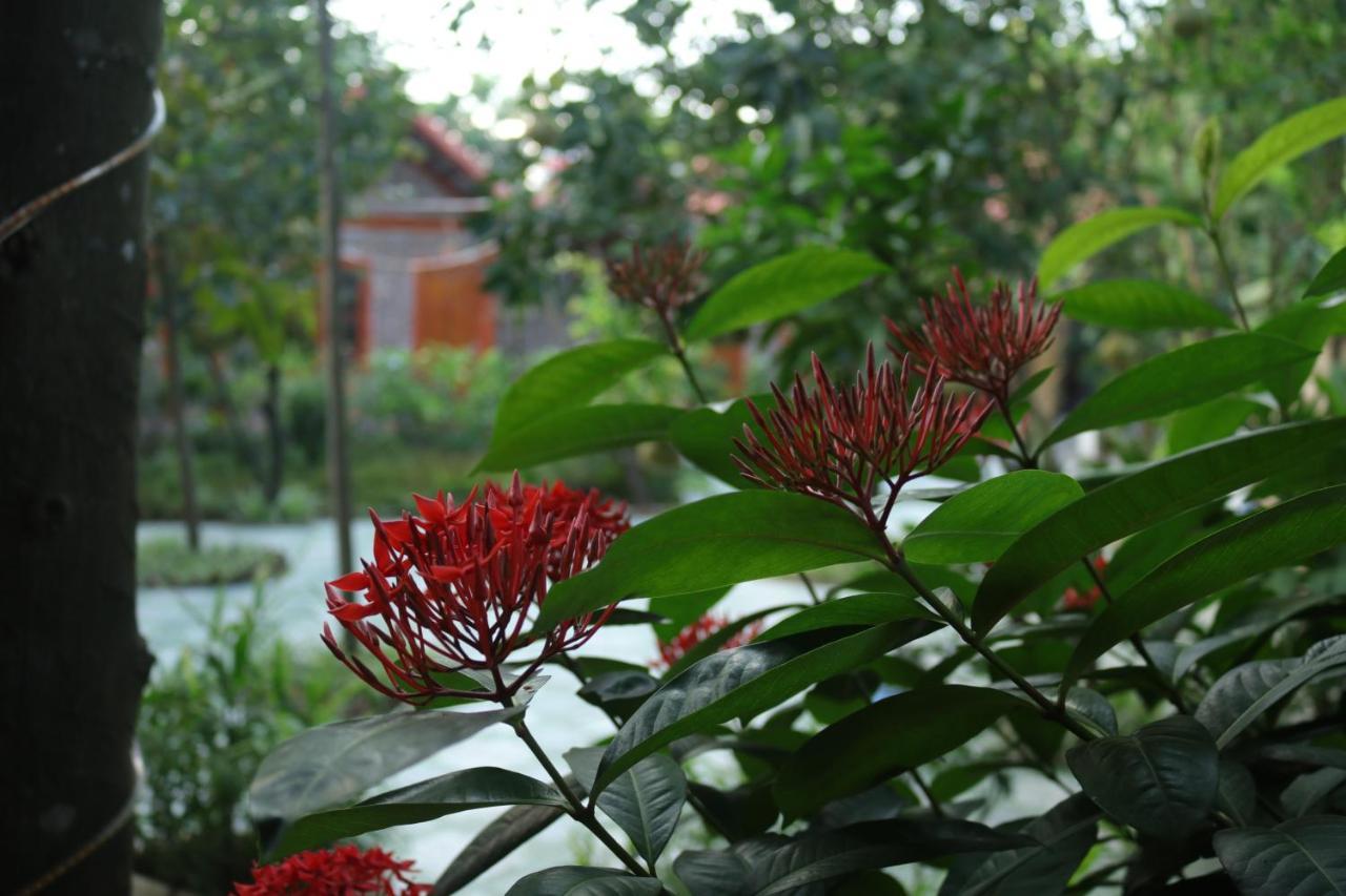 Tam Coc Thanh Dat Homestay Нин Бин Екстериор снимка