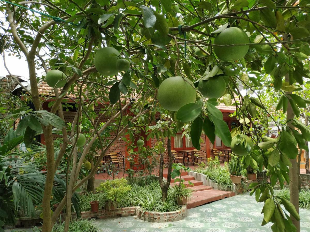 Tam Coc Thanh Dat Homestay Нин Бин Екстериор снимка